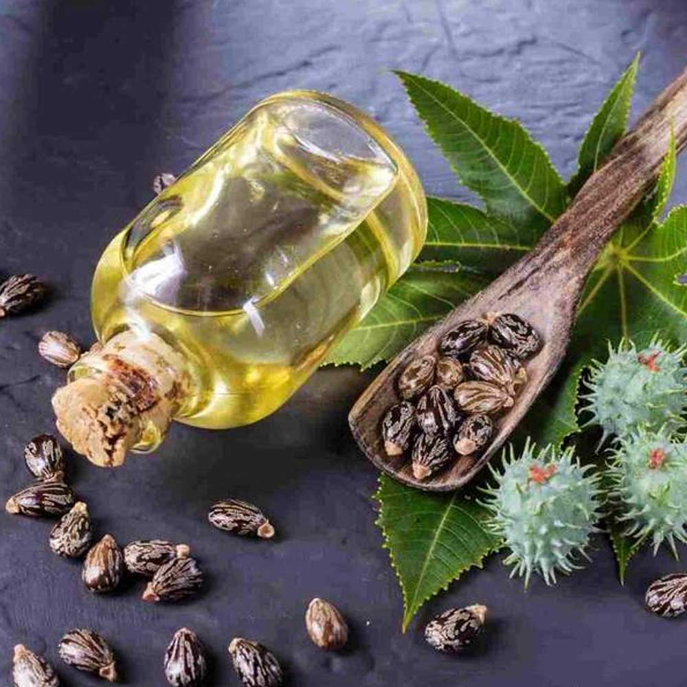 Castor Seed Oil