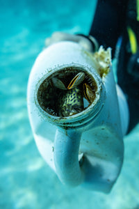 Plastic Pollution in 'Our Planet II': A Call to Sustainable Action