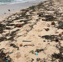 A Dive into Bali: The Shocking Reality of Plastic Pollution - My Green Routine