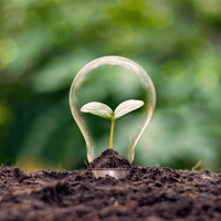 Plastic-Free Alternatives for a Healthy Smile - My Green Routine