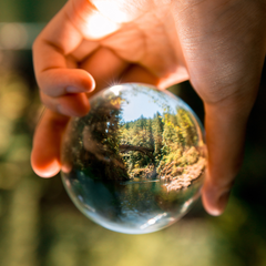 Practical Tips for a Sustainable Transition - My Green Routine