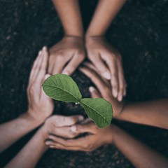 Tips for Spreading Awareness and Inspiring Others - My Green Routine