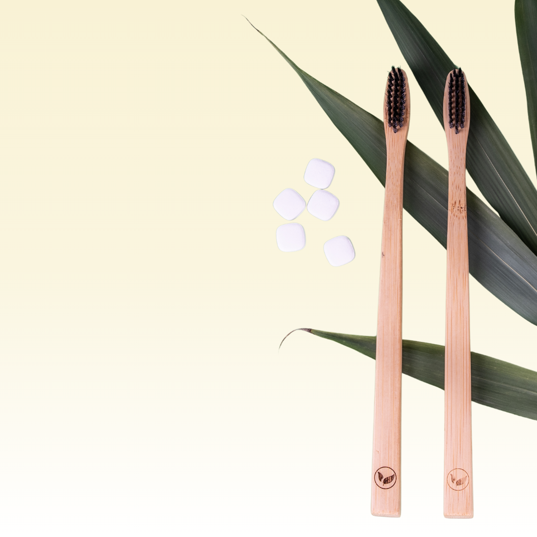 Did you know - Bamboo Toothbrush are the most sustainable toothbrush in the world?