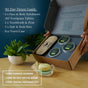 90 Day Plastic Detox Box