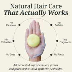 Natural Shampoo & Conditioning Combo
