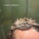 Mini Agave Plant Loofah Disc