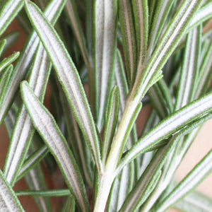 Close-up of a rosemary plant with green and white leaves as part of the natural ingredients list.