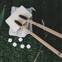 Biodegradable toothbrush and zero waste toothpaste and organic body bar and exfoliator.