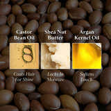 Curly Shampoo & Conditioner Combo - My Green Routine