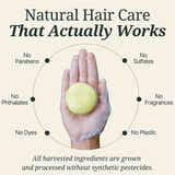 Natural Shampoo Bar - My Green Routine